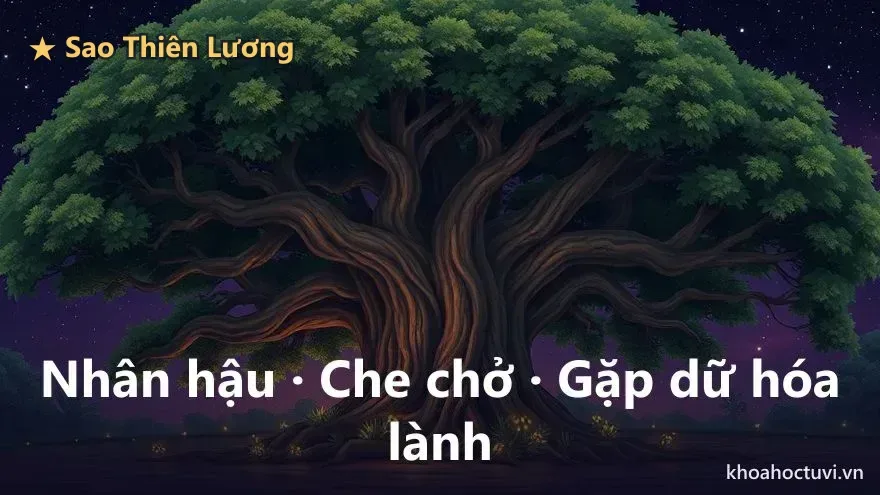 Tính cách người Thiên Lương thủ Mệnh qua tán cây già che một khoảng sân — hình ảnh của ấm tinh che chở