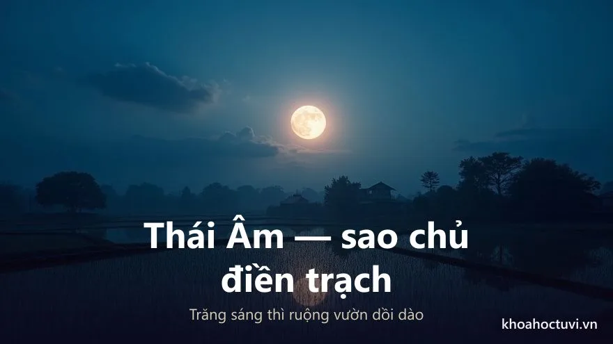 Trăng sáng soi ruộng đồng bạc trắng — Thái Âm là sao chủ của cung Điền Trạch trong Tử Vi