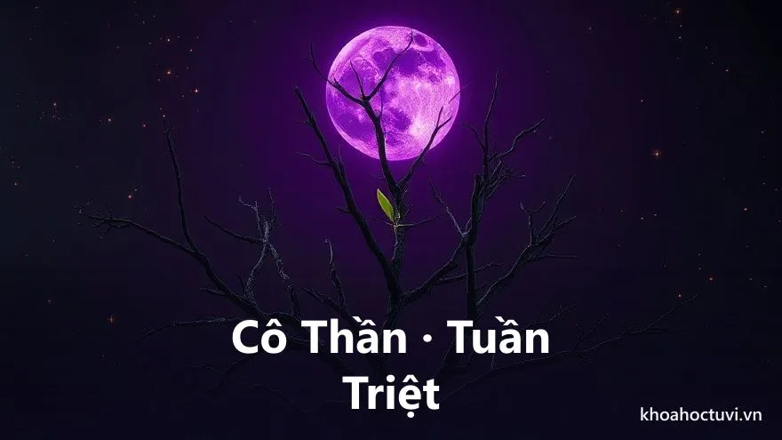 Một cây khô trơ cành dưới ánh trăng tím, trên một nhánh nhỏ le lói một chồi xanh vừa nhú, tranh sơn dầu, biểu tượng Cô Thần Quả Tú và đường con muộn màng nhưng vẫn có hy vọng trong tử vi