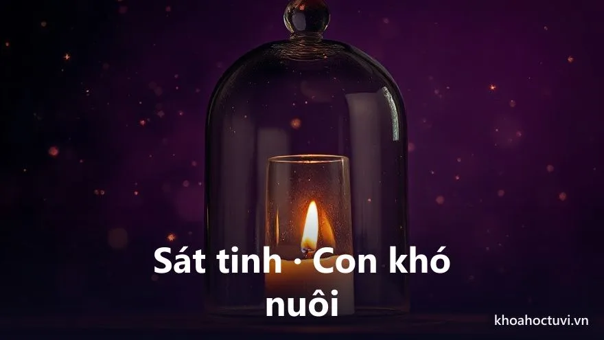 Hai bàn tay chụm lại che chở một đốm sáng nhỏ mong manh như ngọn nến trước gió, trên nền trời tím thẫm nhiều sao, tranh sơn dầu, biểu tượng đường con cái mong manh cần chăm sóc và giữ gìn theo cung Tử Tức trong tử vi