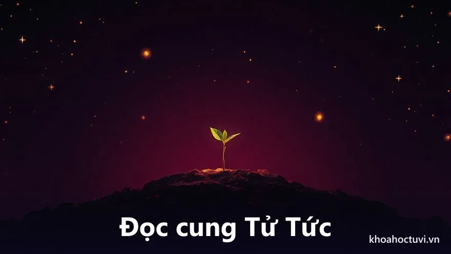 Sơ đồ lá số 12 cung với cung Tử Tức nổi bật, một mầm cây nhỏ phát sáng vươn lên giữa các vì sao, trên nền trời tím thẫm, tranh sơn dầu, minh họa cách xem số hiếm muộn trong tử vi qua cung Tử Tức
