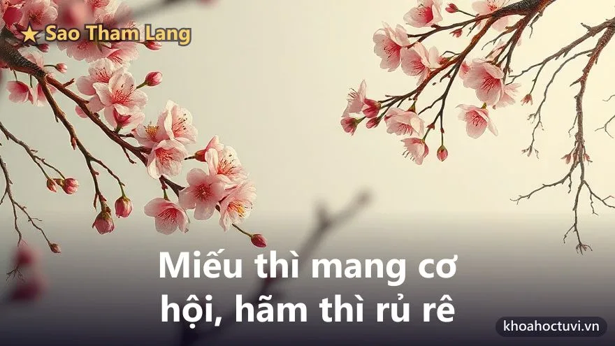 Tham Lang thủ cung Huynh Đệ — đắc địa và hãm