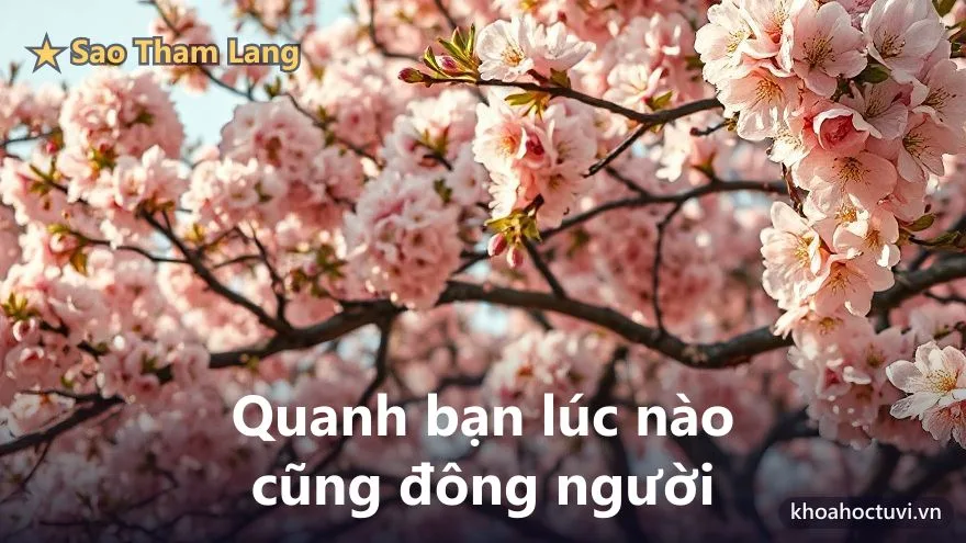 Tham Lang thủ cung Huynh Đệ — minh họa