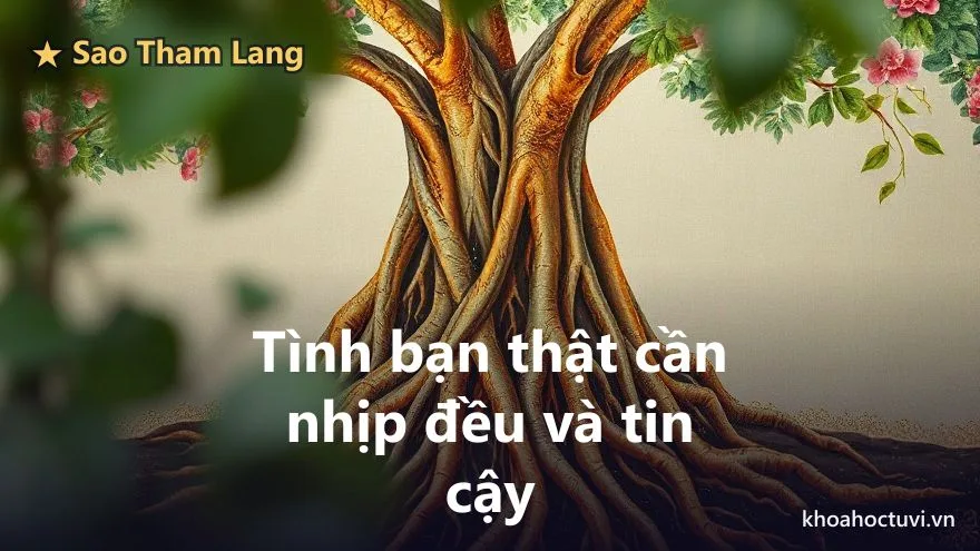 Tham Lang thủ cung Huynh Đệ — góc nhìn hiện đại