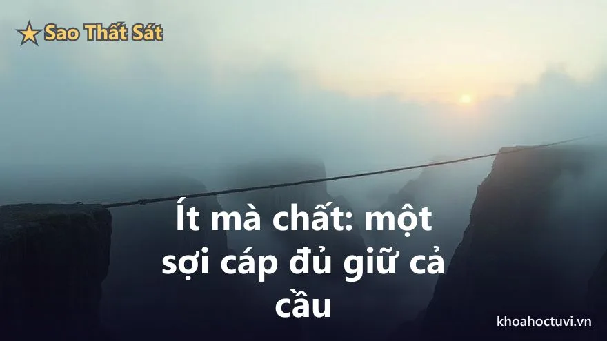 Thất Sát thủ cung Huynh Đệ — Ít mà chất: tình thân của những người không quen dựa vào ai