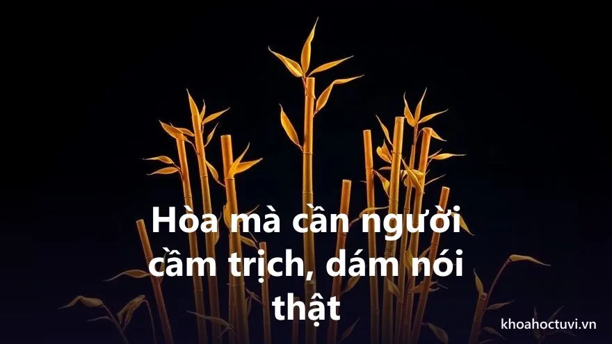 Thiên Đồng thủ cung Huynh Đệ — Chỗ dựa êm ái & cái bẫy ỷ lại — khi hòa quá thành thiếu người cầm trịch