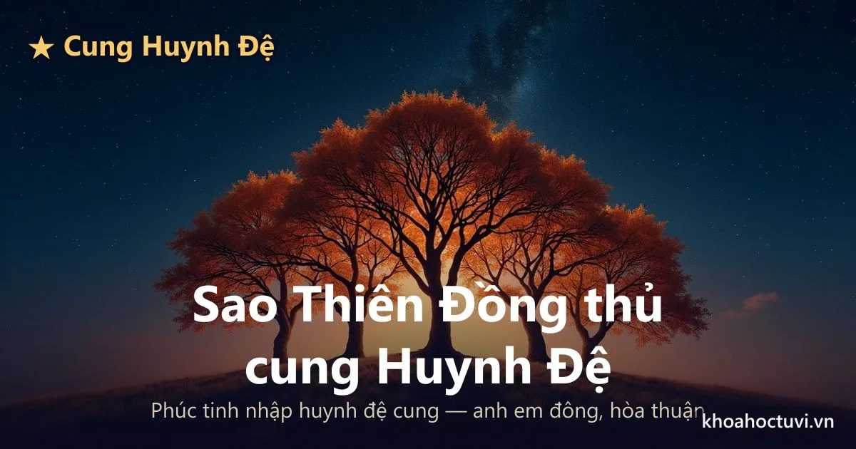 Sao Thiên Đồng thủ cung Huynh Đệ — luận giải Tử Vi Đẩu Số