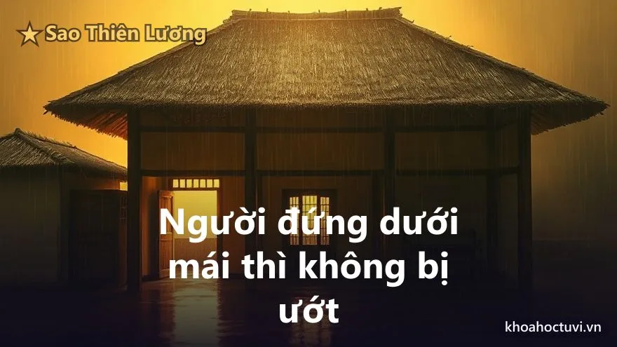 Thiên Lương thủ cung Huynh Đệ — minh họa
