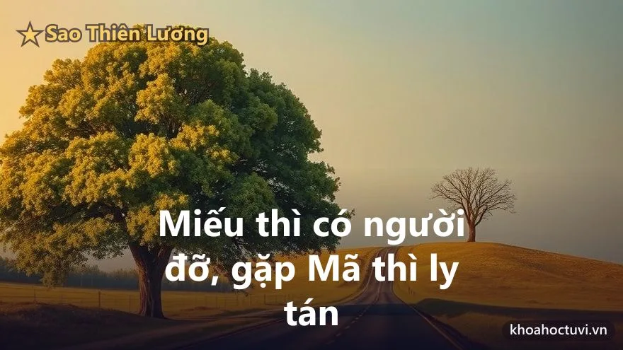 Thiên Lương thủ cung Huynh Đệ — đắc địa và hãm
