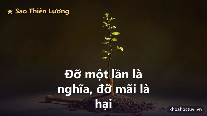Thiên Lương thủ cung Huynh Đệ — Cứu tới đâu là đủ: ranh giới của người quen gánh và cách giữ tình khi ở xa