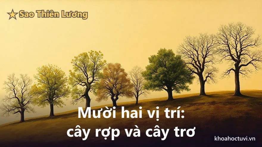 Thiên Lương thủ cung Huynh Đệ — anh em & bạn bè