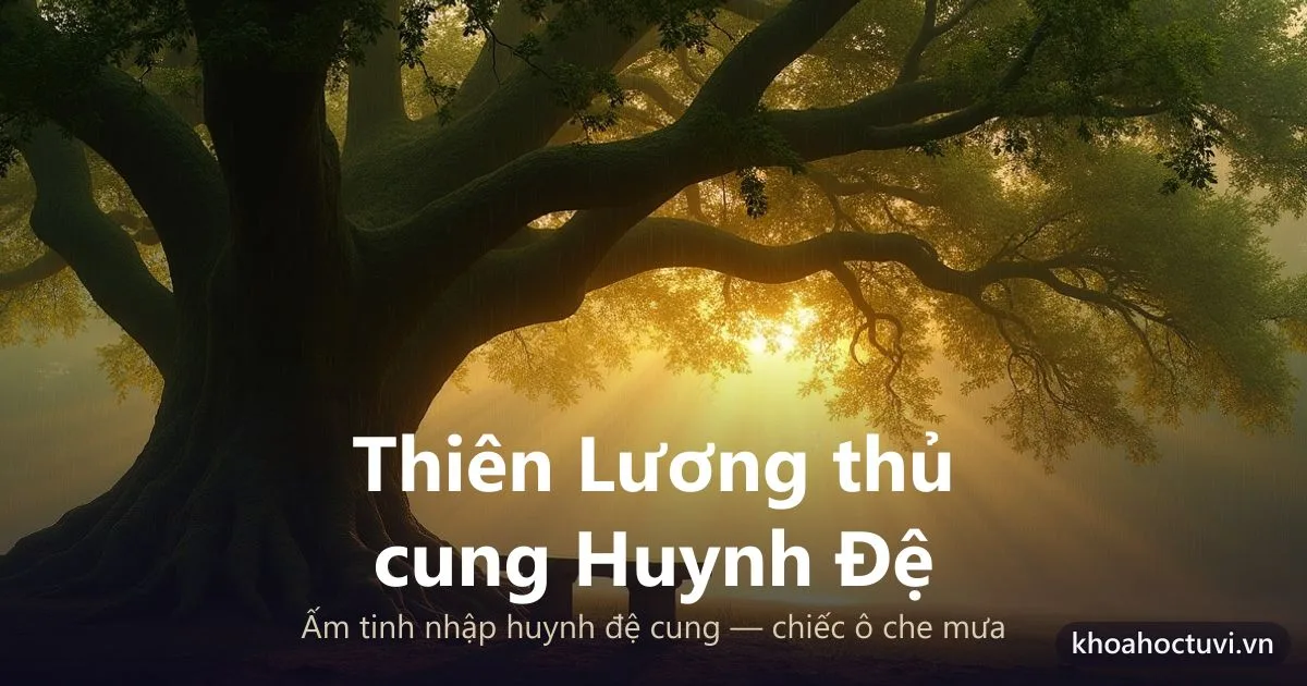 Sao Thiên Lương thủ cung Huynh Đệ — luận giải Tử Vi Đẩu Số