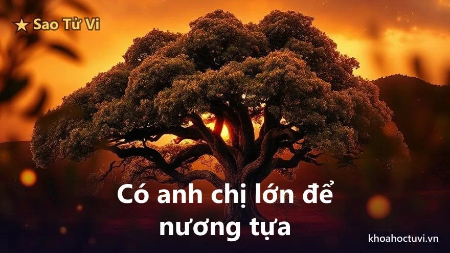 Tử Vi thủ cung Huynh Đệ — Đế tinh nhập huynh đệ cung: vì sao anh em bằng hữu của bạn đều là người có vai vế