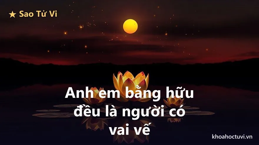 Tử Vi thủ cung Huynh Đệ — minh họa
