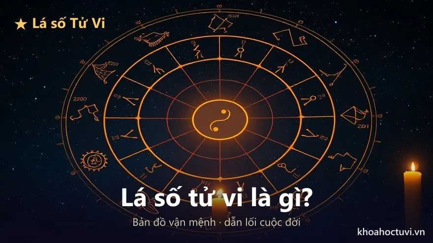 Vòng địa bàn 12 cung với biểu tượng âm dương ở trung tâm — lá số tử vi là bản đồ vận mệnh lập theo Tử Vi Đẩu Số