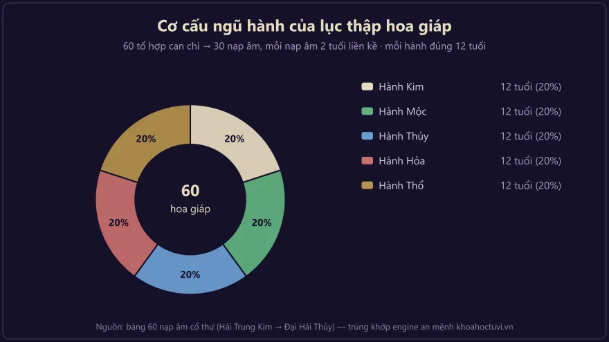 Biểu đồ tròn cơ cấu ngũ hành của lục thập hoa giáp — mỗi hành đúng 12 tuổi