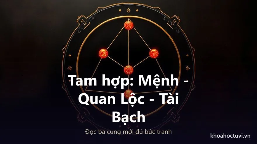 Thế tam hợp Mệnh - Quan Lộc - Tài Bạch trên lá số Tử Vi khi luận hướng nghề phù hợp