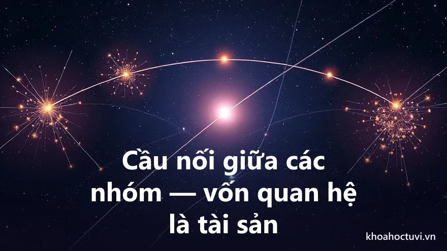 Tham Lang thủ cung Nô Bộc — Giao tế tinh nhập nô bộc cung: vì sao Tham Lang cho bạn bè cực rộng