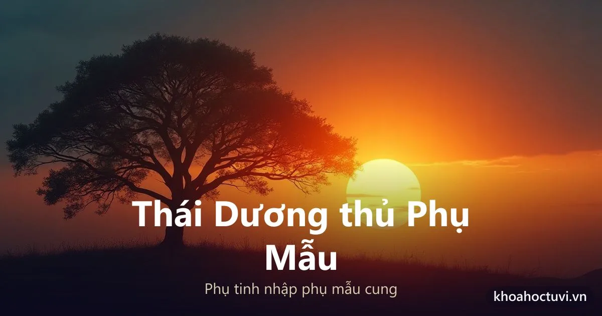 Sao Thái Dương thủ cung Phụ Mẫu — luận giải Tử Vi Đẩu Số