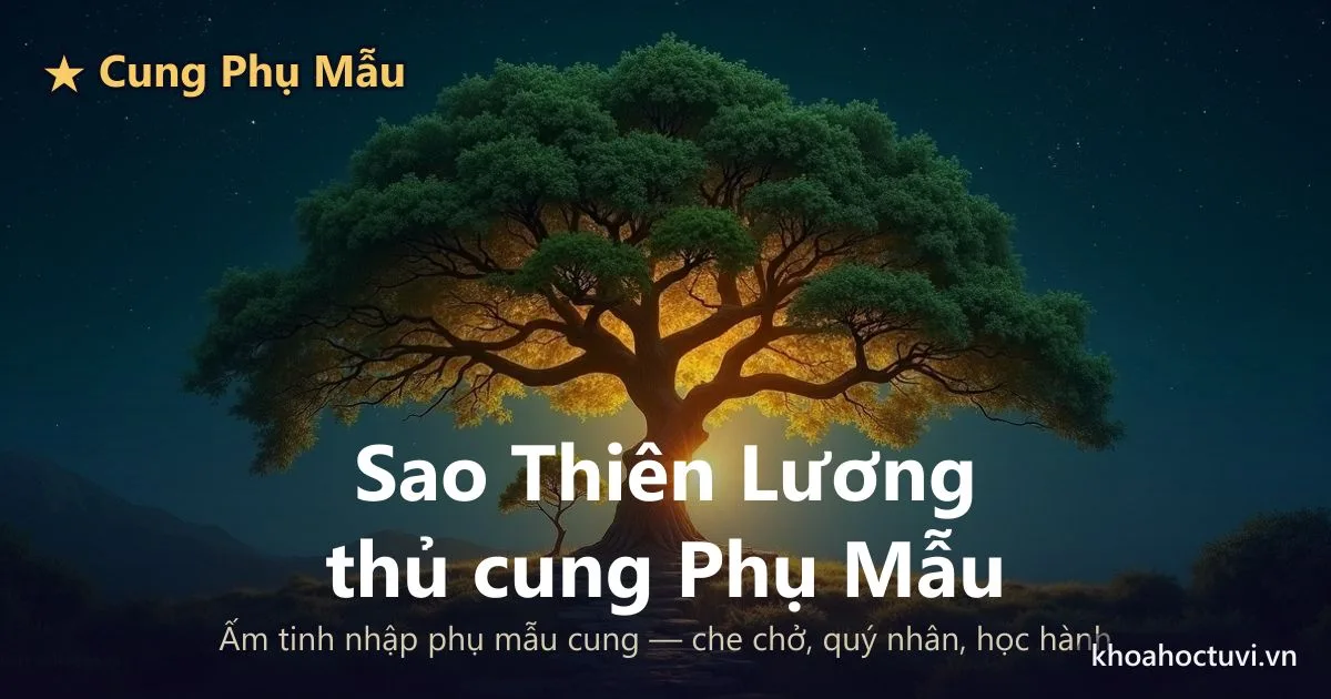 Sao Thiên Lương thủ cung Phụ Mẫu — luận giải Tử Vi Đẩu Số