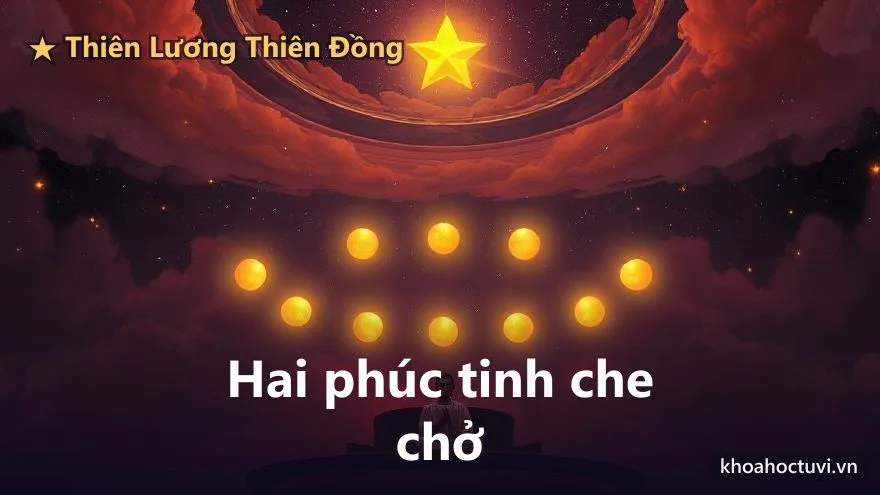 Sơ đồ các cung Phu Thê, Phúc Đức, Tử Tức được cổ thư nhấn mạnh trong nữ mệnh, minh họa các cung gia đình khi xem lá số phụ nữ