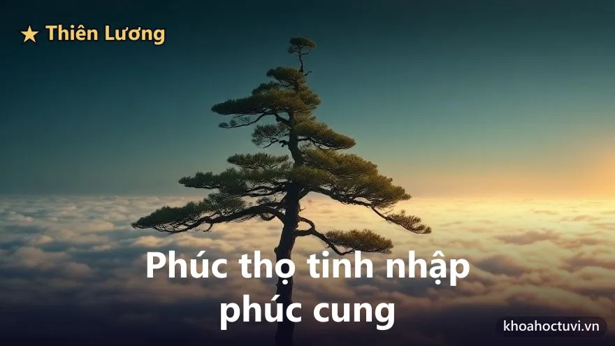 Thiên Lương thủ cung Phúc Đức — minh họa