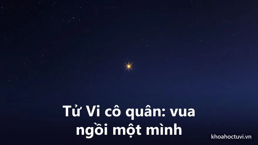 Tử Vi cô quân: một sao đế đơn độc giữa bầu trời trống vắng, thiếu sao phò tá