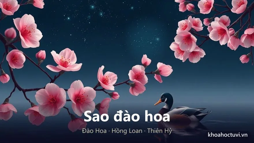Biểu tượng sao đào hoa trong tử vi: hoa đào nở, sợi tơ hồng và đôi chim uyên ương trên nền sao