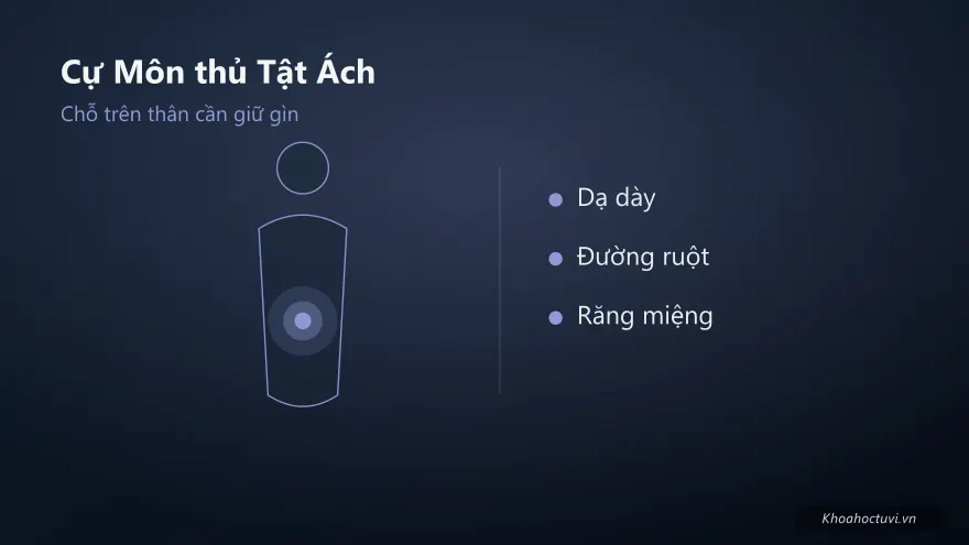 Cự Môn thủ cung Tật Ách — minh họa