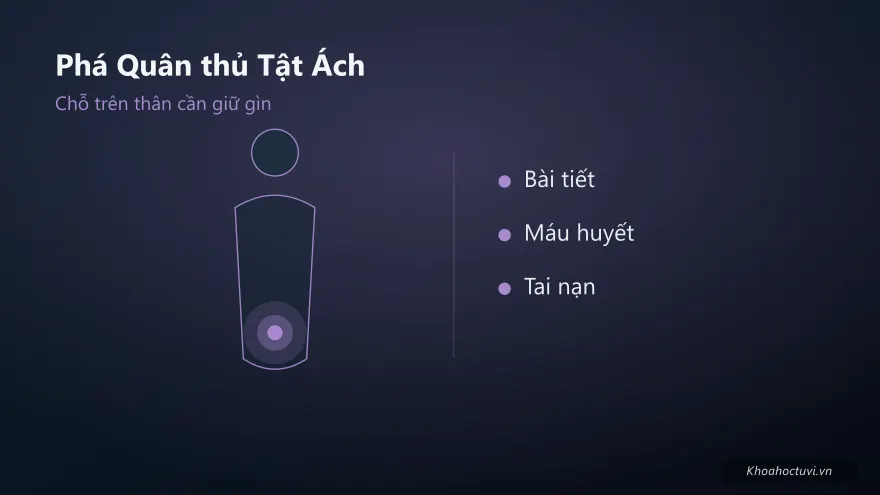 Phá Quân thủ cung Tật Ách — minh họa
