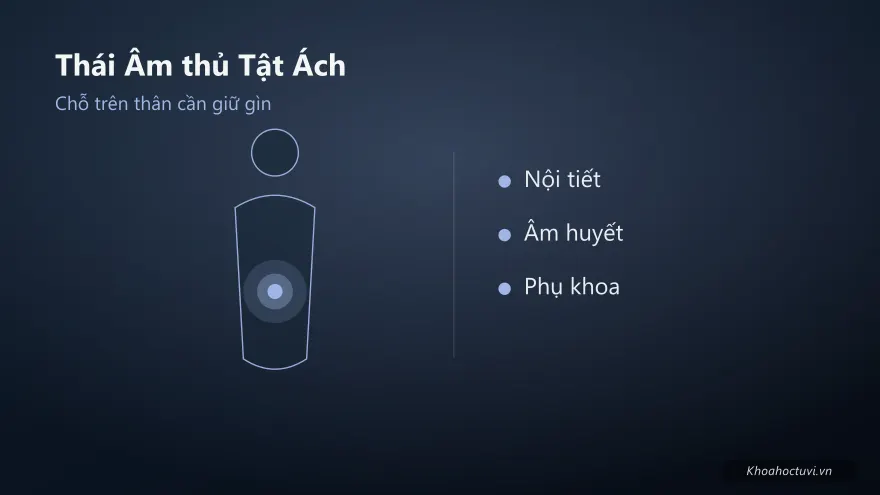 Thái Âm thủ cung Tật Ách — minh họa