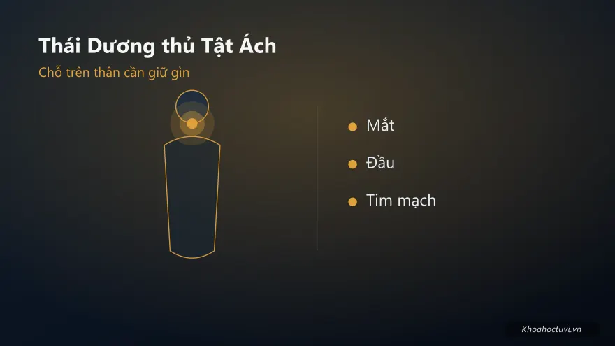 Thái Dương thủ cung Tật Ách — minh họa