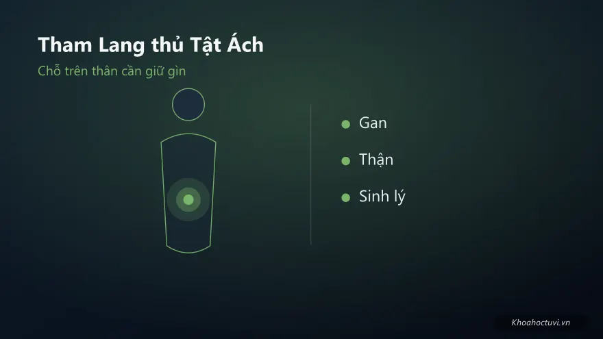 Tham Lang thủ cung Tật Ách — minh họa