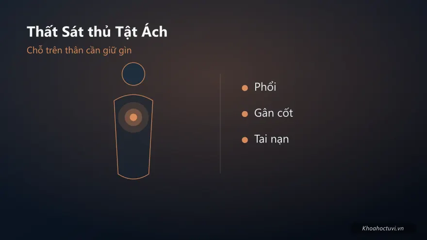 Thất Sát thủ cung Tật Ách — minh họa