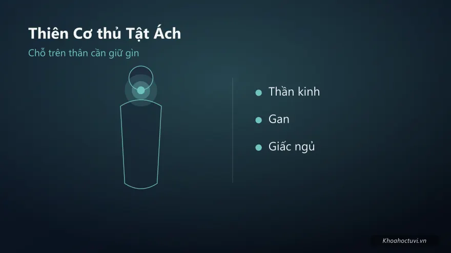 Thiên Cơ thủ cung Tật Ách — minh họa