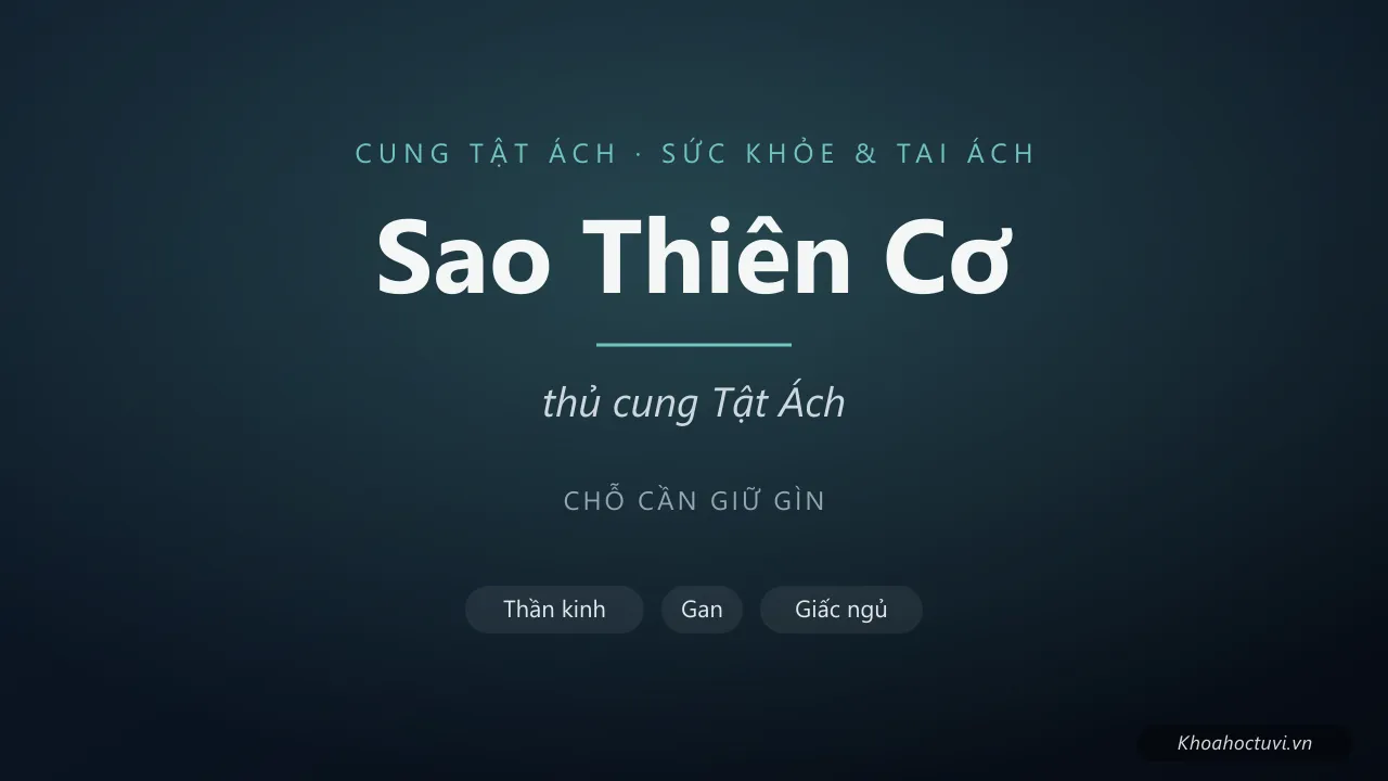 Sao Thiên Cơ thủ cung Tật Ách — luận giải Tử Vi Đẩu Số