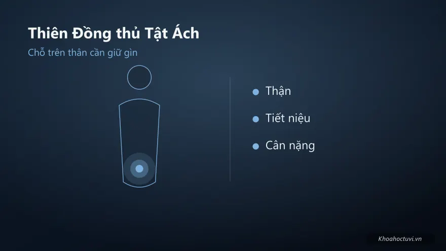 Thiên Đồng thủ cung Tật Ách — minh họa