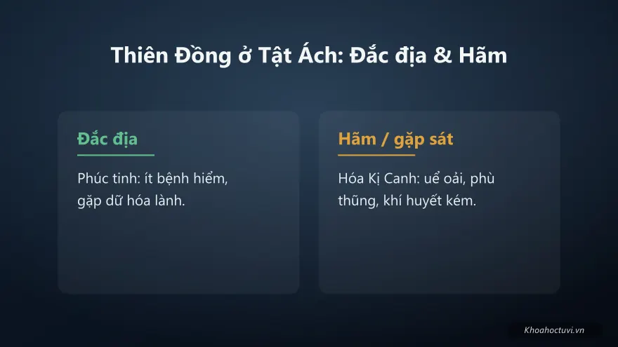 Thiên Đồng thủ cung Tật Ách — đắc địa và hãm