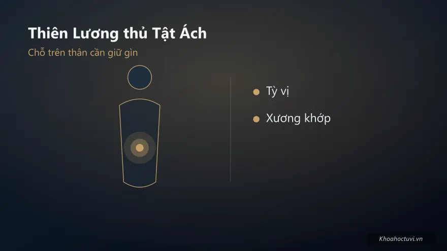 Thiên Lương thủ cung Tật Ách — minh họa