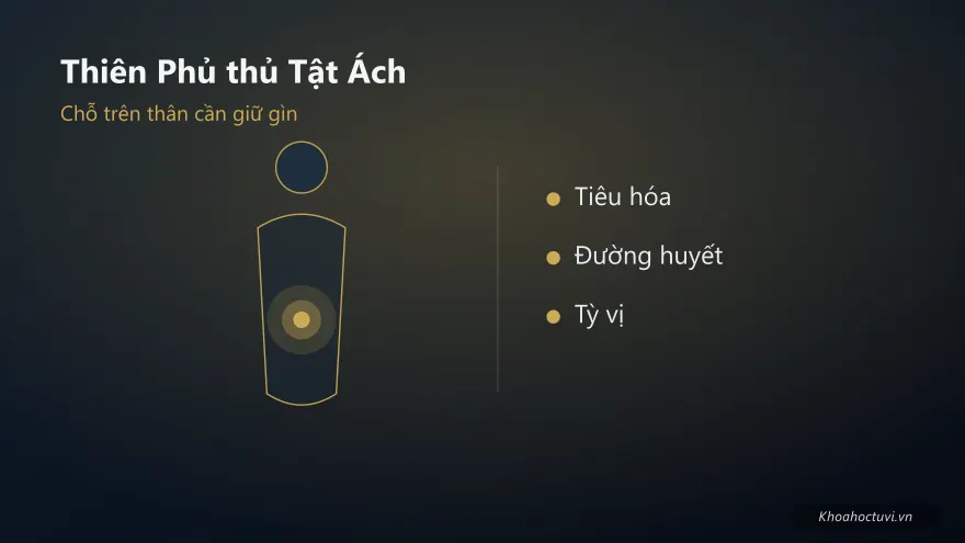 Thiên Phủ thủ cung Tật Ách — minh họa