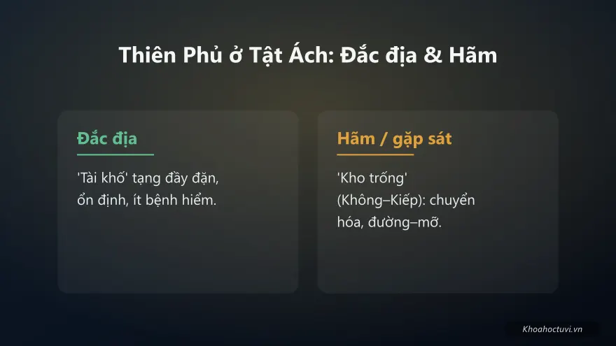 Thiên Phủ thủ cung Tật Ách — đắc địa và hãm