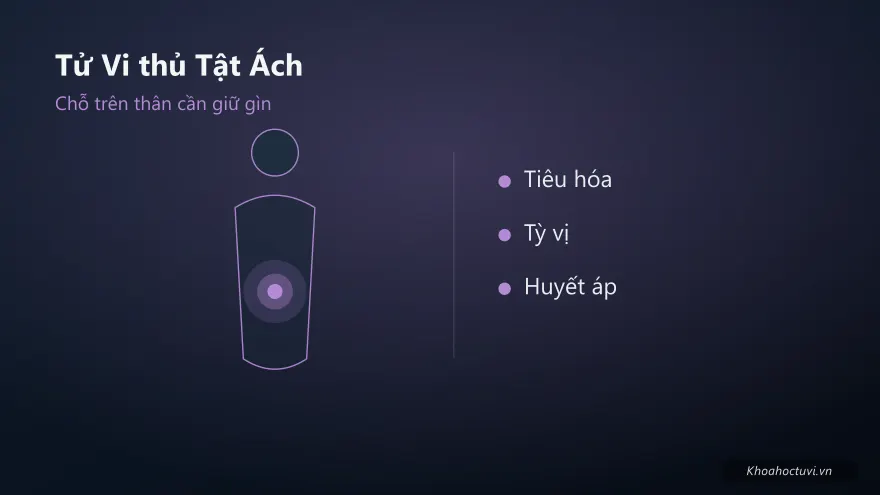 Tử Vi thủ cung Tật Ách — minh họa