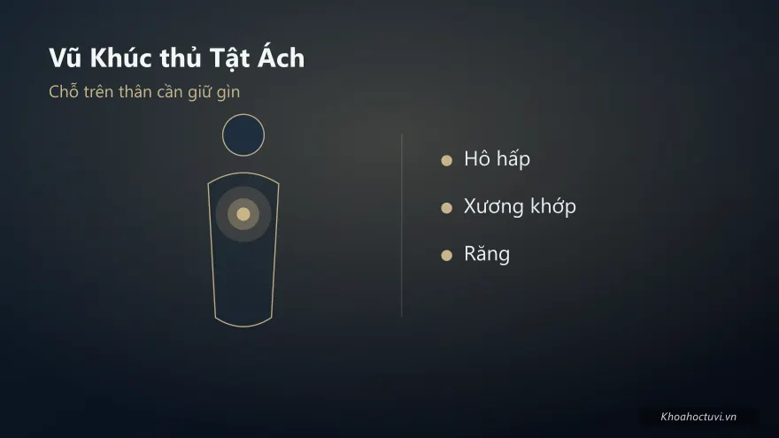 Vũ Khúc thủ cung Tật Ách — minh họa