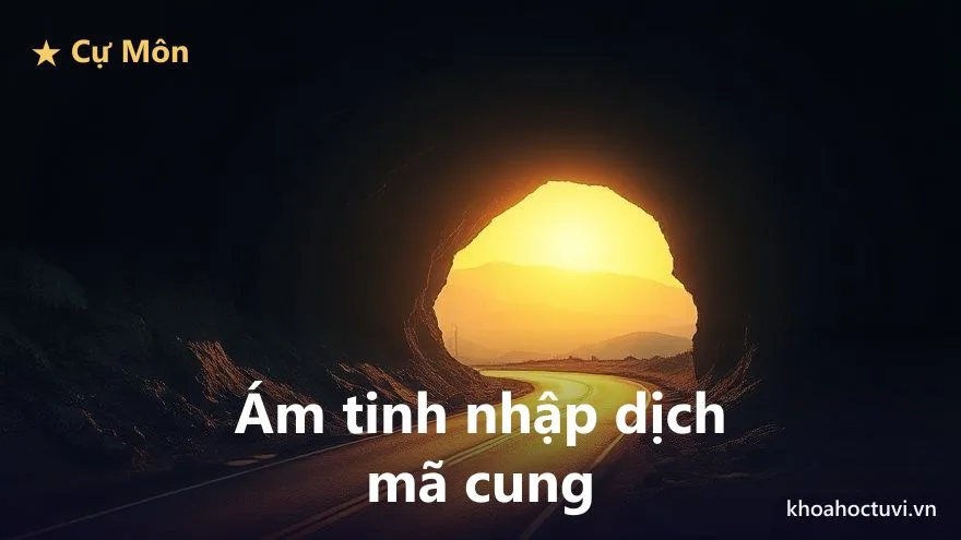 Cự Môn thủ cung Thiên Di — minh họa