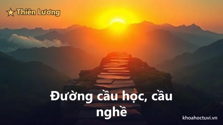 Thiên Lương thủ cung Thiên Di — Đi xa gặp quý nhân & con đường cầu học – cầu nghề