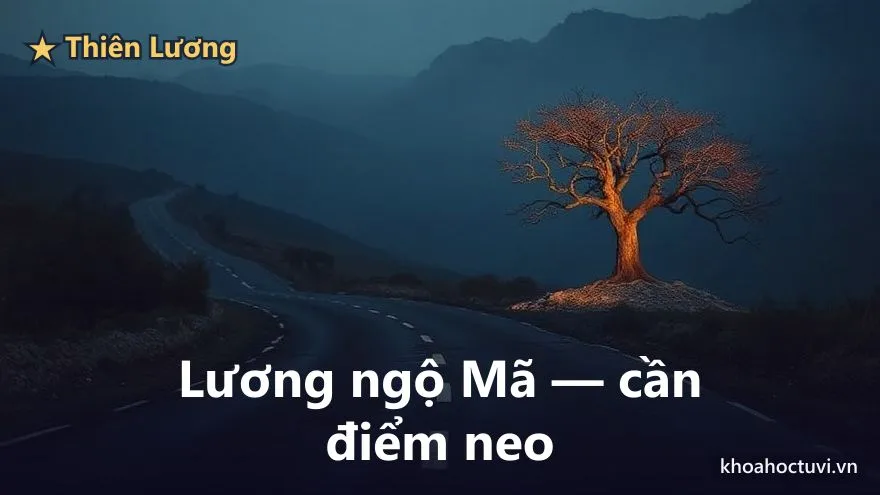 Thiên Lương thủ cung Thiên Di — Mặt trái của ấm tinh: 'Lương ngộ Mã' phiêu đãng, cô cao & bệnh lo việc thiên hạ