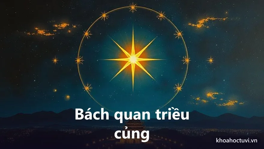 Tử Vi thủ cung Thiên Di — Bách quan triều củng hay cô quân: quý nhân địa vị & cái bẫy đứng một mình