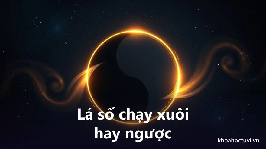 Biểu tượng âm dương với hai luồng ánh sáng, một chảy xuôi một chảy ngược quanh vòng tròn, trên nền trời sao