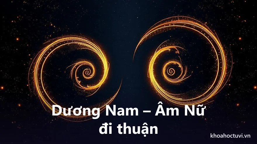 Hai xoáy ốc ánh sáng, một cuộn theo chiều kim đồng hồ một cuộn ngược lại, đối xứng qua trục dọc