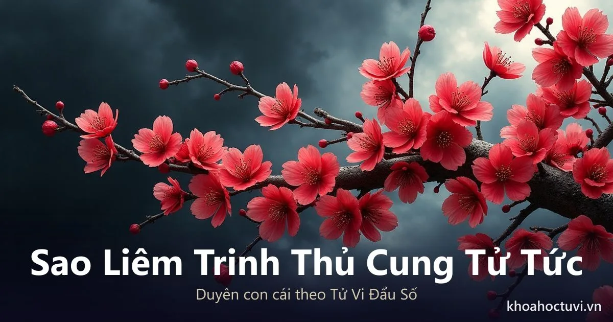 Sao Liêm Trinh thủ cung Tử Tức — luận giải Tử Vi Đẩu Số